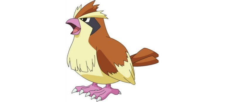 Bird Pokemon: Best Of All Time List - Gameinstants