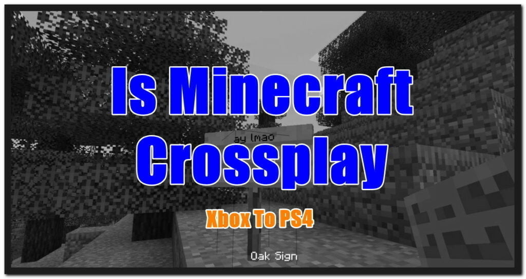 how to play Minecraft cross platform