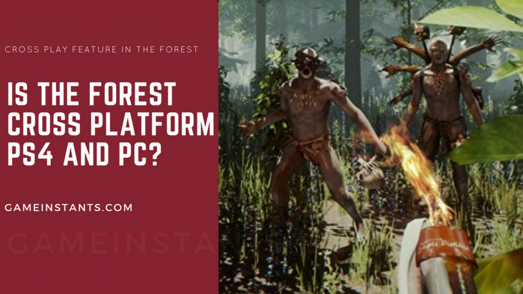 is the forest crossplay