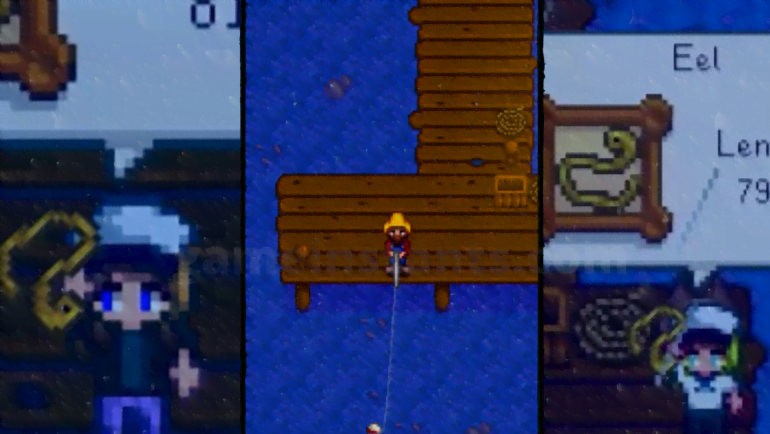 How To Catch Eels In Stardew Valley? - Gameinstants