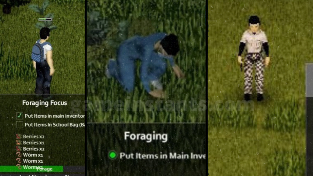 Zomboid Foraging Guide 1024x576 