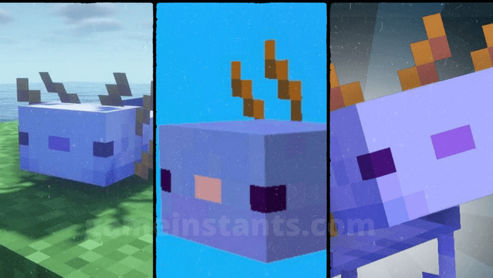 How to Obtain Blue Axolotl in Minecraft?