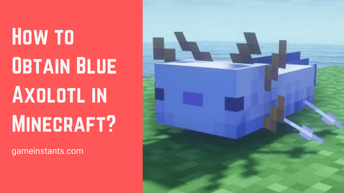 Blue Axolotl in Minecraft?
