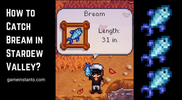 How to Catch Bream in Stardew Valley