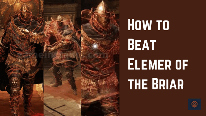 Elden Ring Guide To Defeat Elmer of the Briar GameInstants