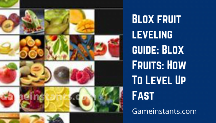 Blox fruit leveling guide