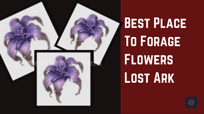 best place to forage flowers lost ark