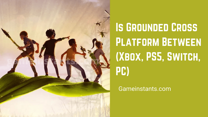 grounded cross play pc xbox