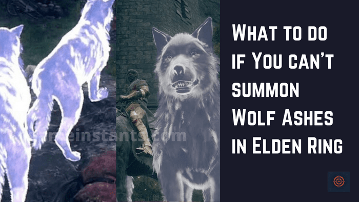 What To Do if You Can't Summon Wolf Ashes in Elden Ring? GameInstants