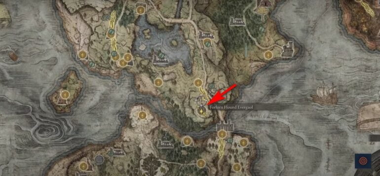 Where Is Blaidd After Radahn In Elden Ring Gameinstants   Elden Ring Blaidd Location 770x358 