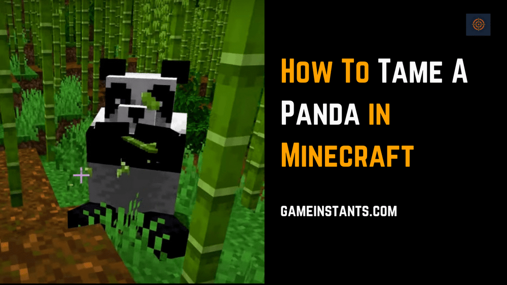 Tame Panda In Minecraft | Guide - Gameinstants