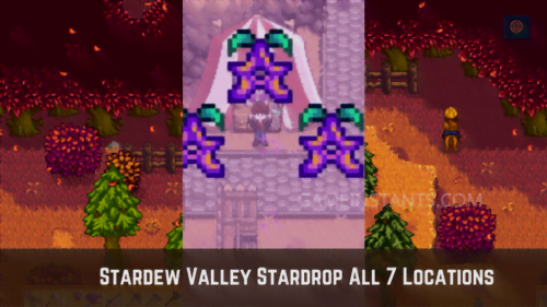 Where To Find All 7 Stardrop In Stardew Valley - Gameinstants