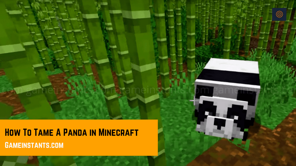 Taming A Panda Minecraft