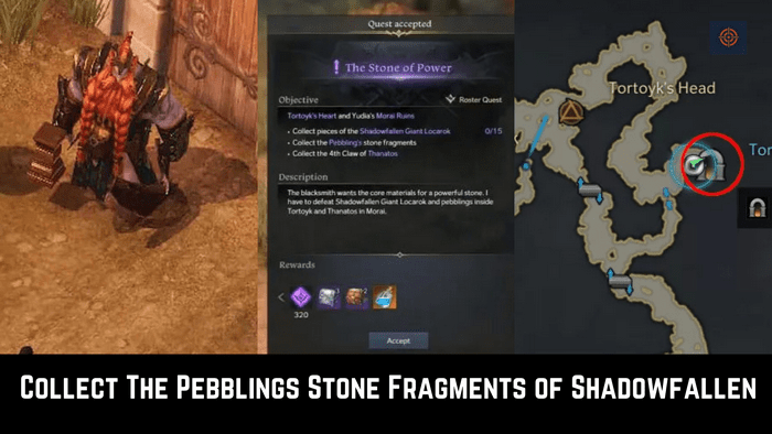 pebblings stone fragments