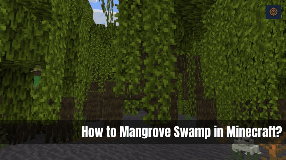 mangrove swamp