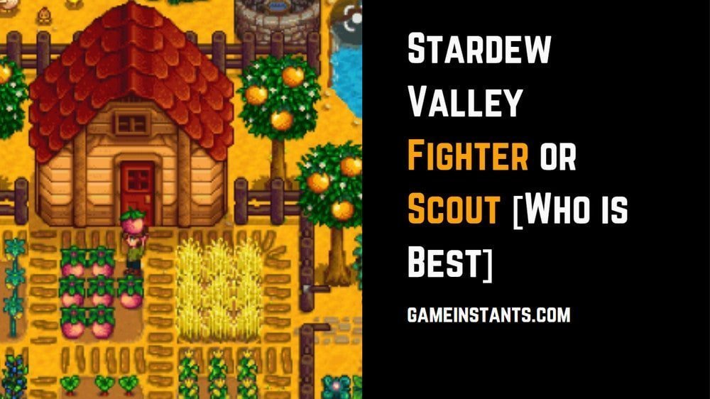 Stardew Valley Fighter or Scout