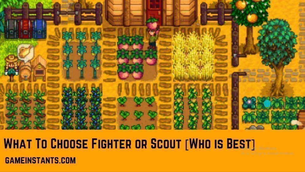 scout or fighter Stardew Valley