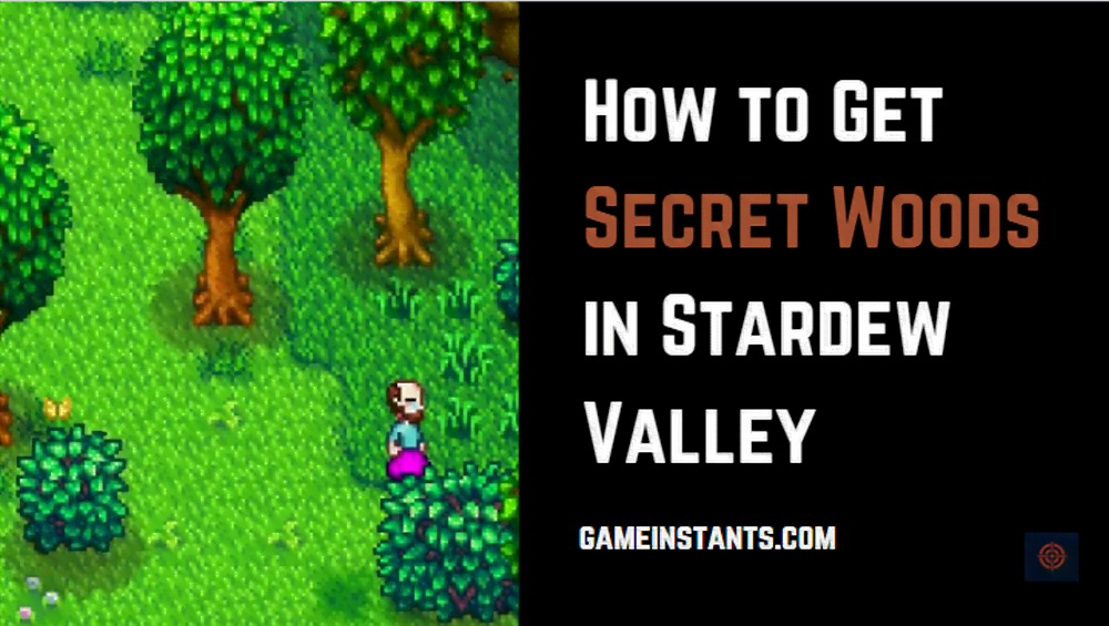 secret woods stardew valley