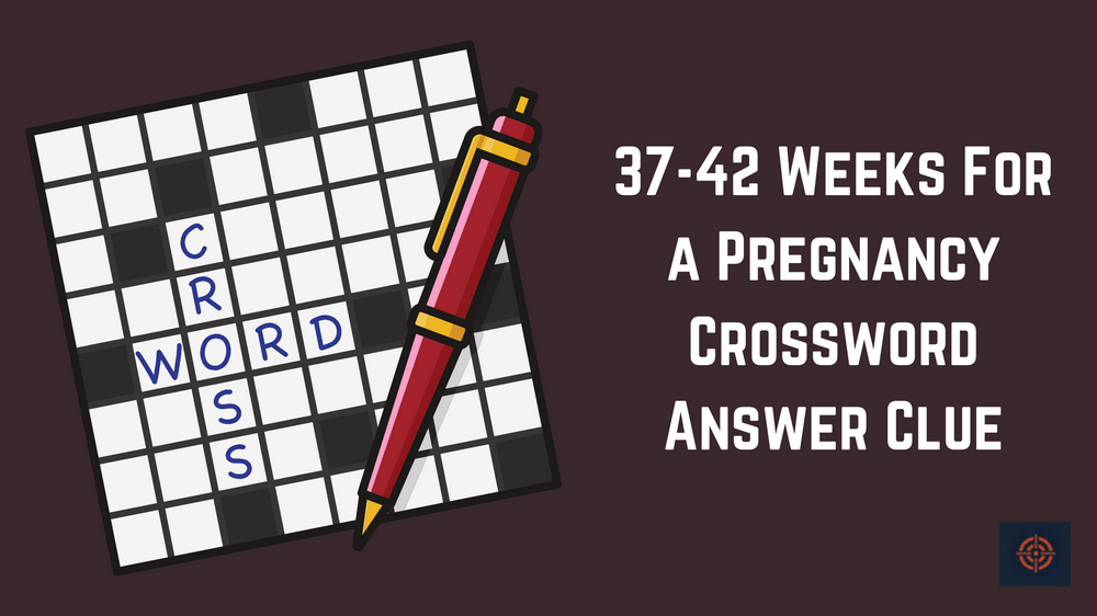 37-42 Weeks For a Pregnancy Crossword Answer