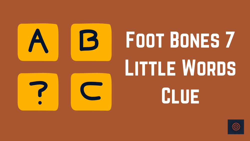 Foot Bones 7 Little Words