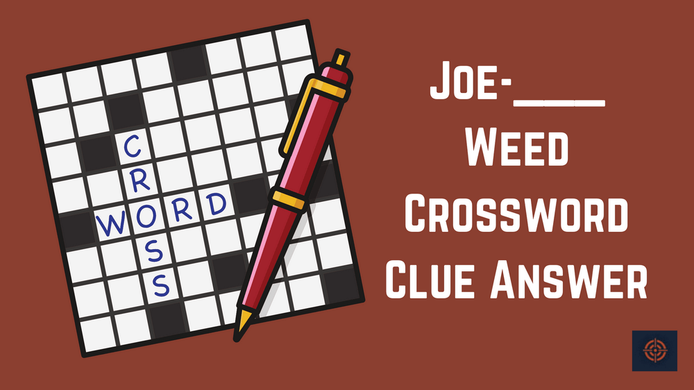 Joe-___ Weed Crossword Clue