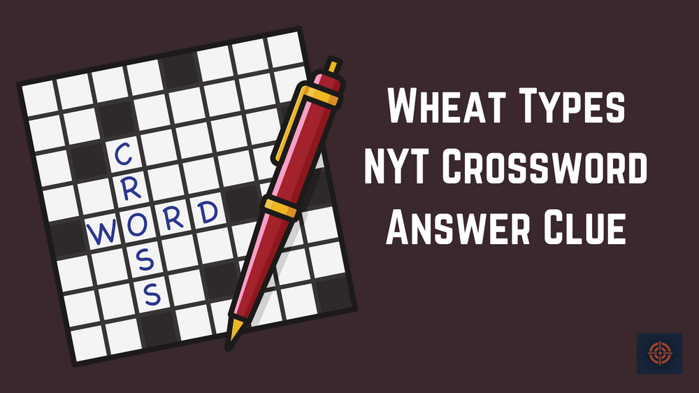 Wheat Type NYT Crossword Answer Clue Gameinstants
