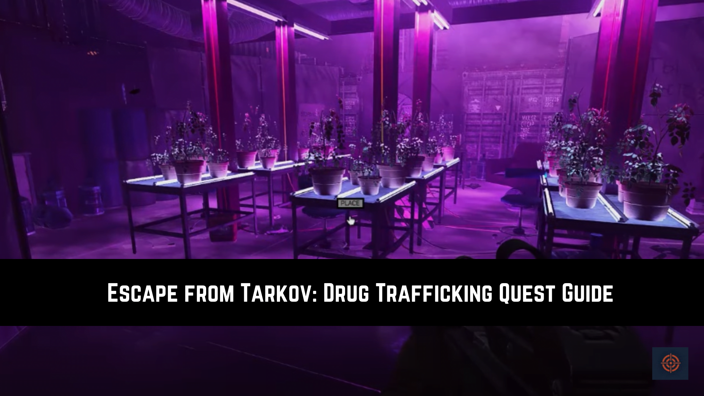 Drug Trafficking escape from tarkov