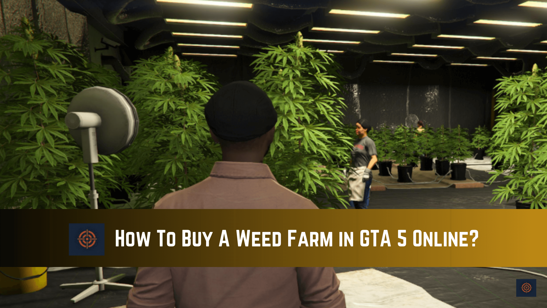 how to buy a weed farm in gta 5 online