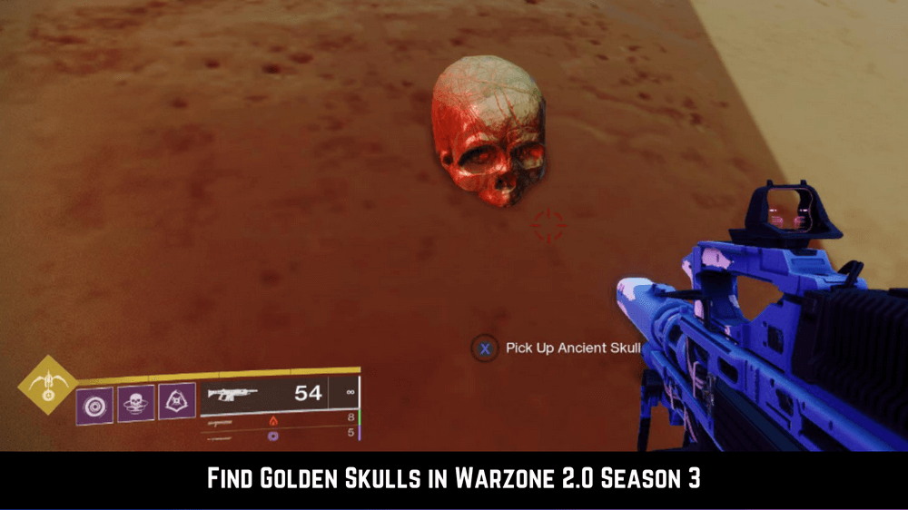 golden skulls dmz