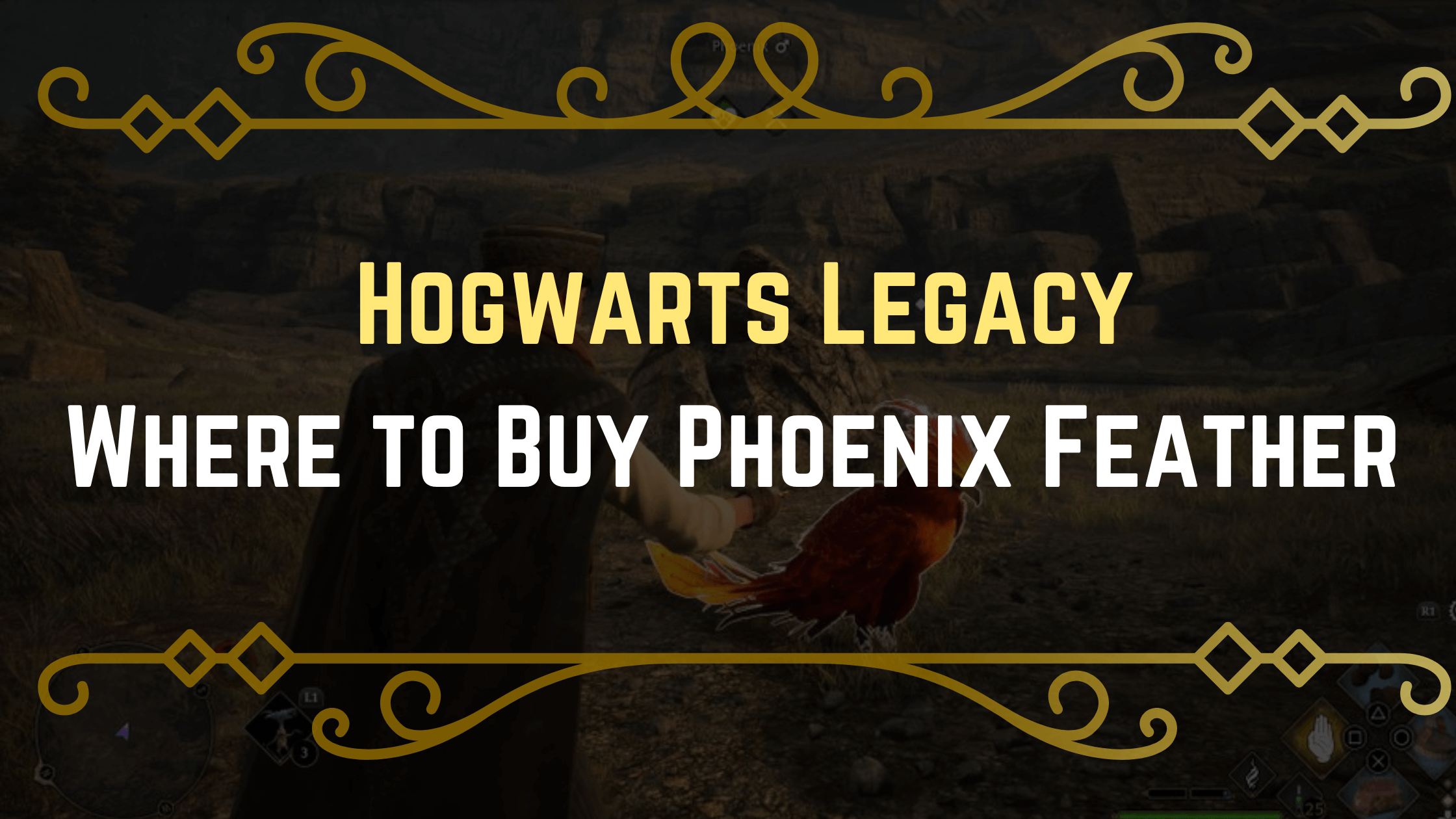 Where to Buy Phoenix Feather in Hogwarts Legacy
