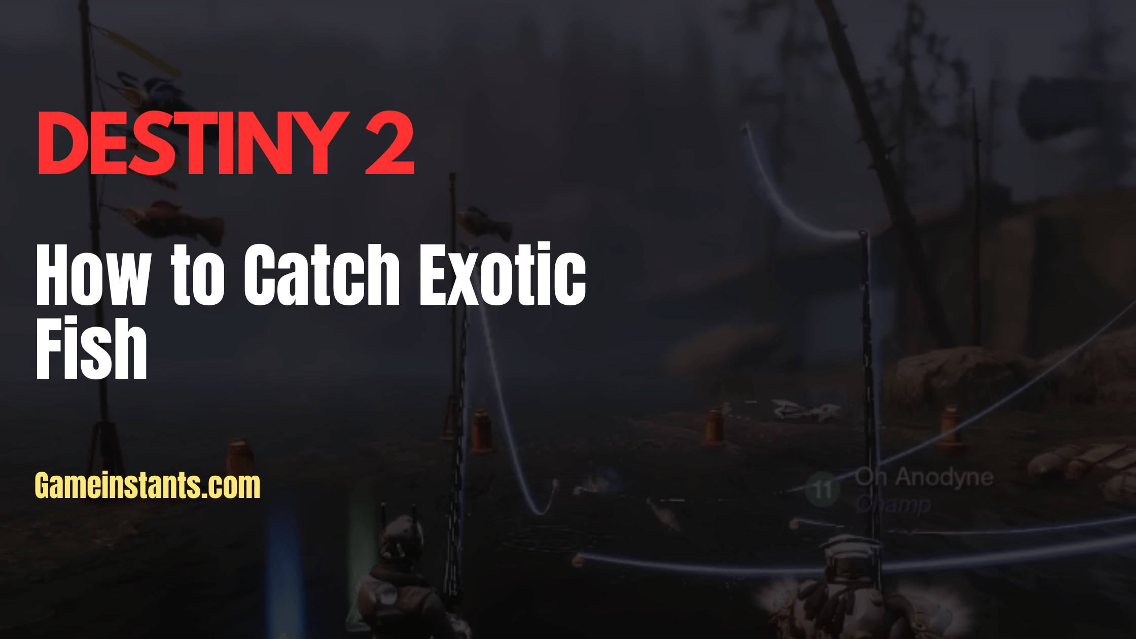 how to catch exotic fish destiny 2