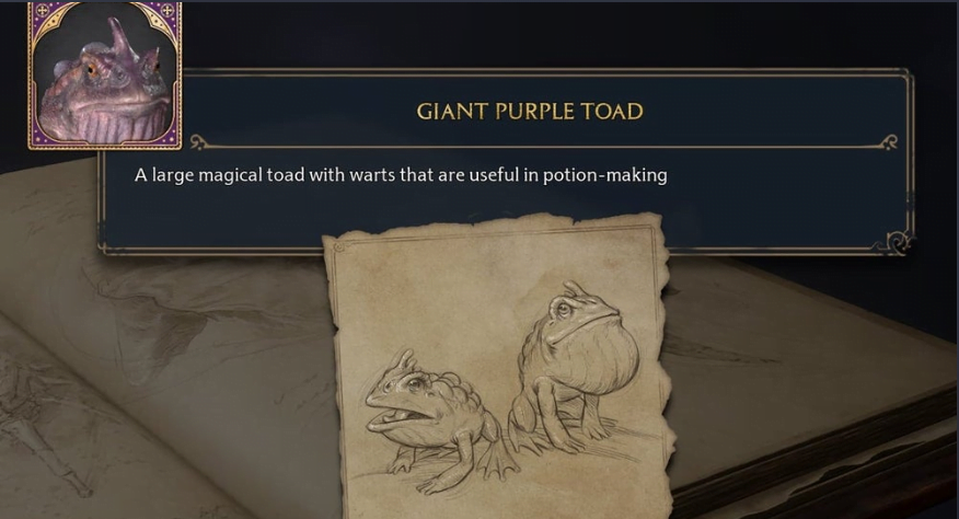 Giant Purple Toad Location Hogwarts Legacy