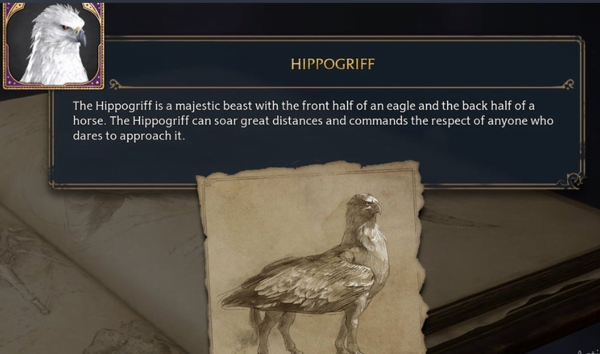 Hippogriffs Location Hogwarts Legacy