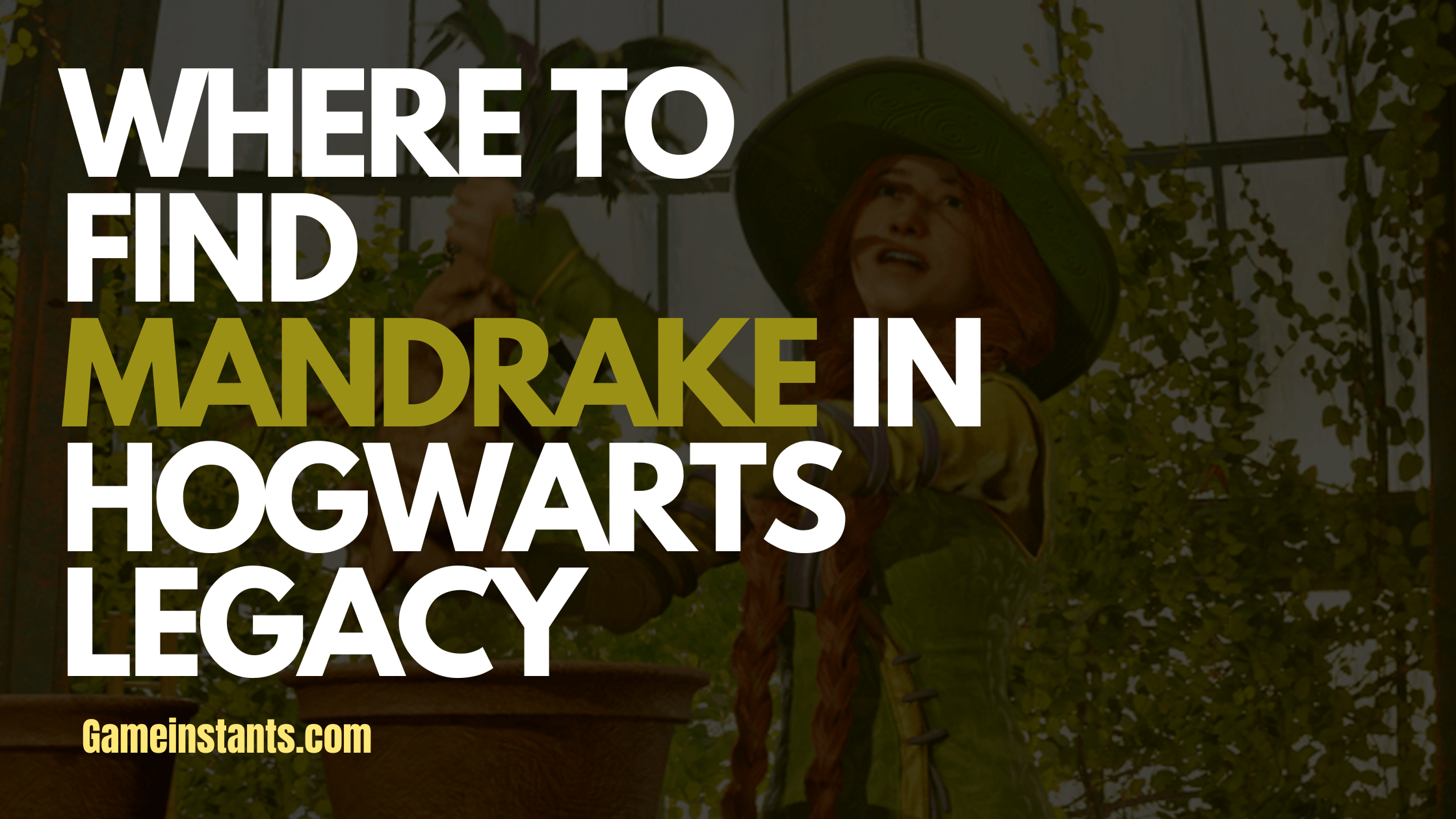 Mandrake in Hogwarts Legacy 1