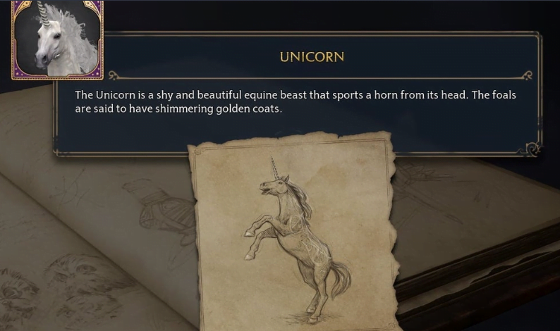 Unicorn Location Hogwarts Legacy