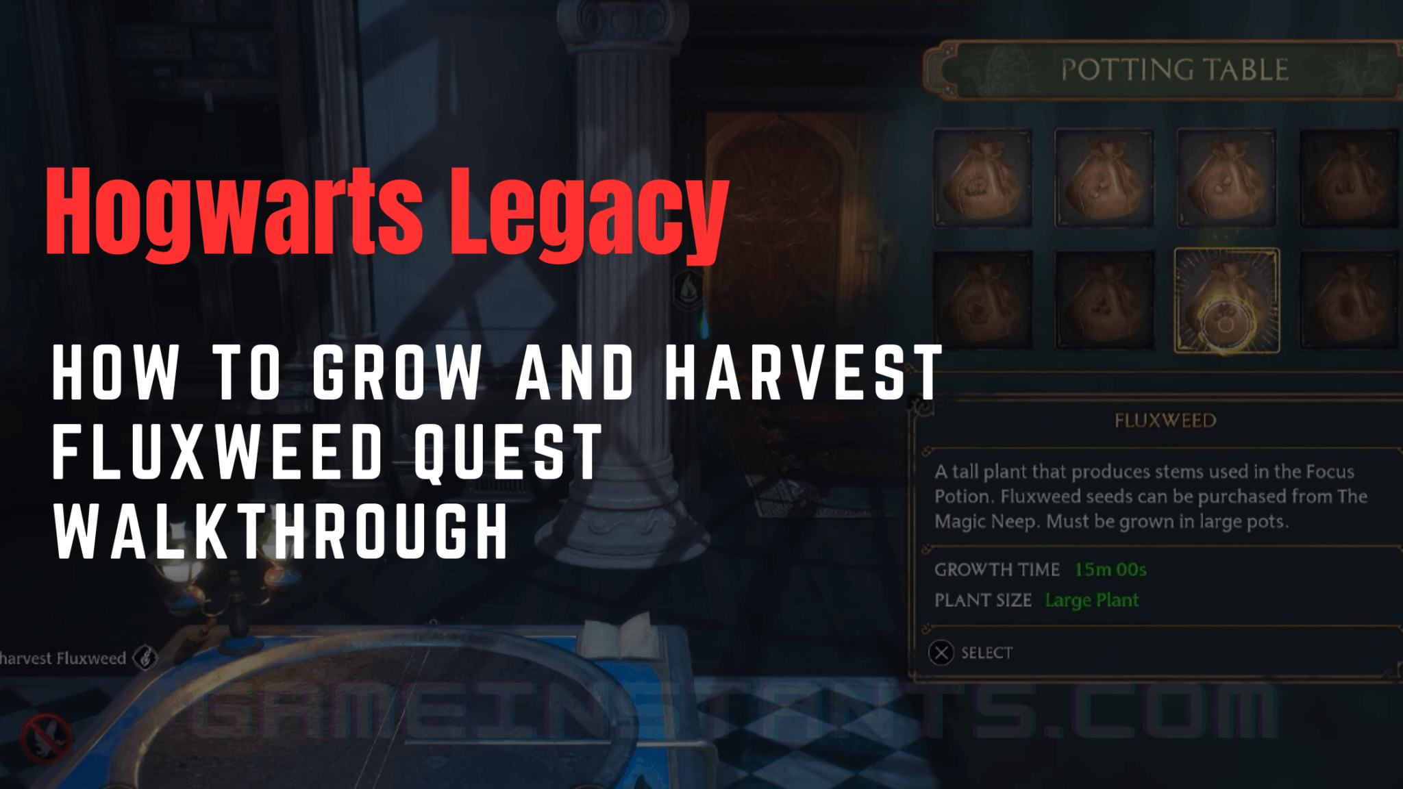 Hogwarts Legacy: How To Grow & Harvest Fluxweed Guide - Gameinstants