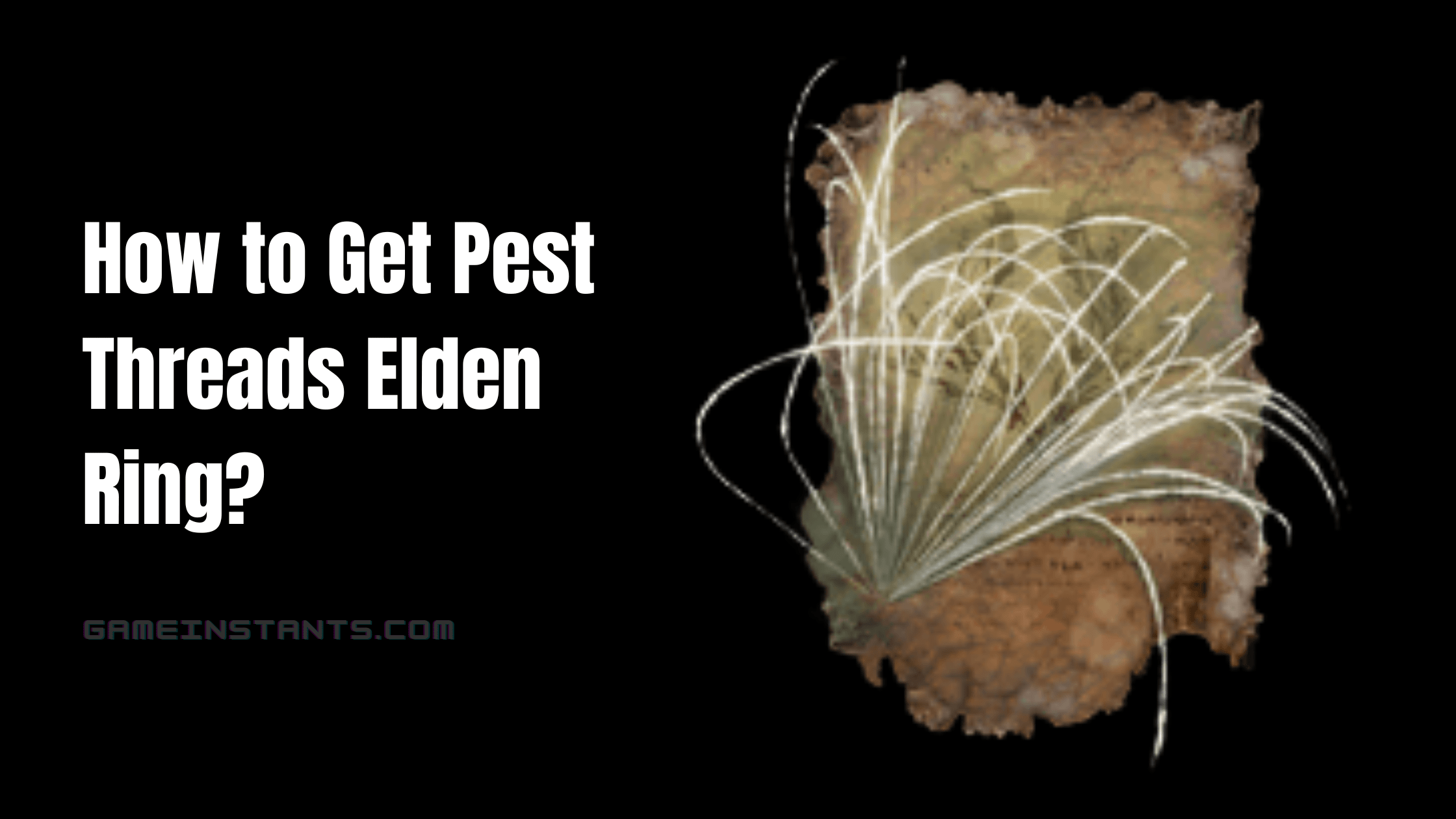 How to Get Pest Threads Elden Ring?
