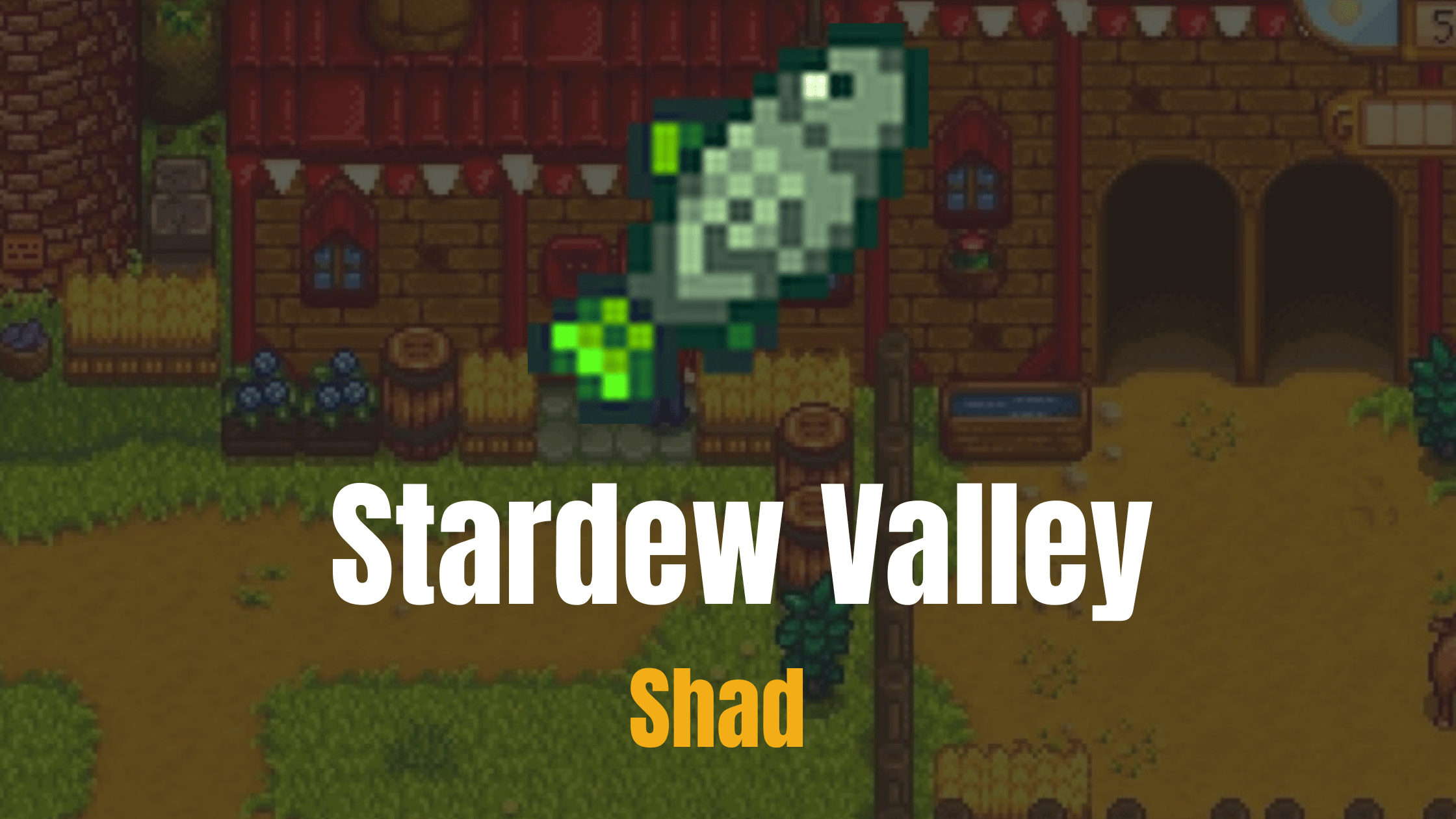 Shad Stardew Valley