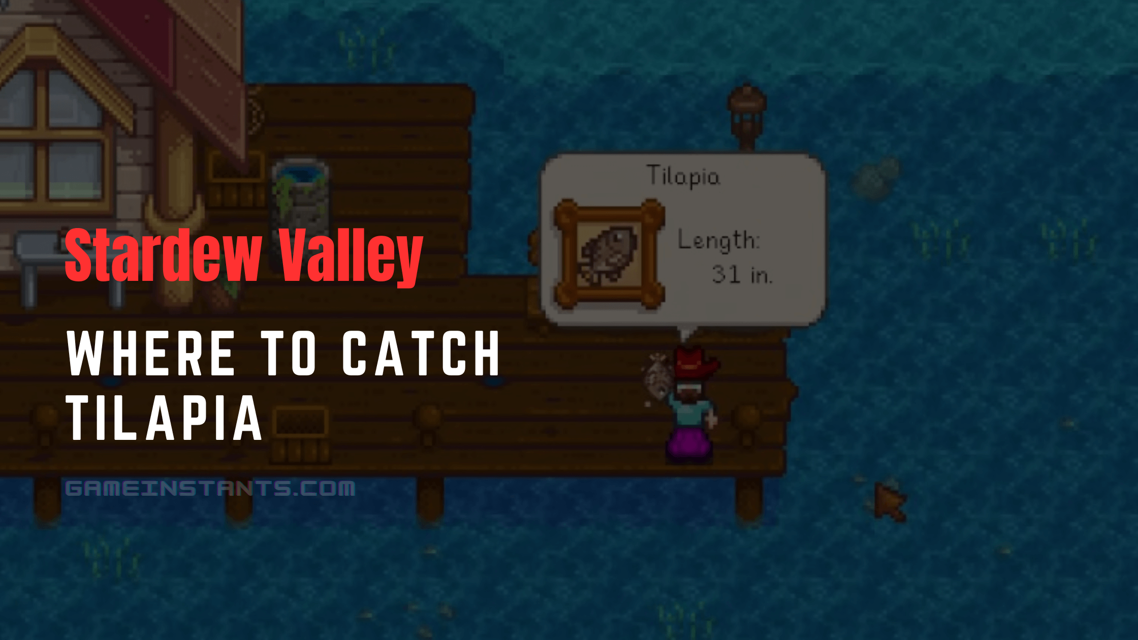 Stardew Valley Where To Catch Tilapia