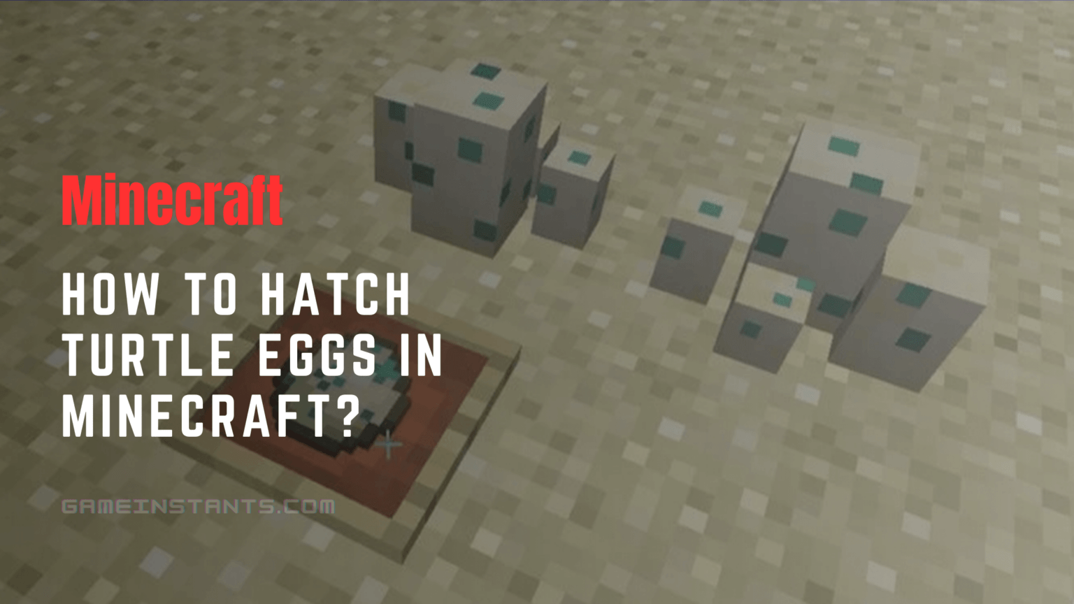 How To Hatch Turtle Eggs In Minecraft Gameinstants