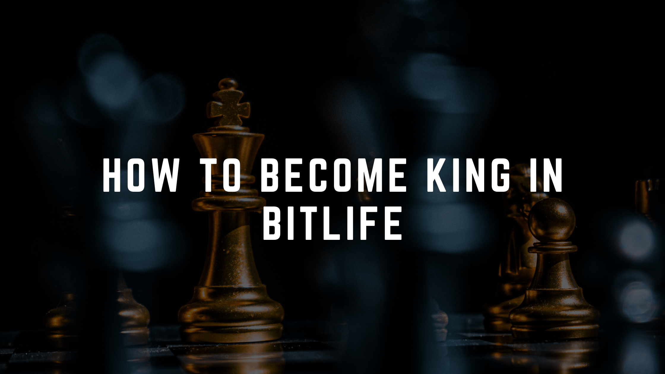 how to become king in bitlife