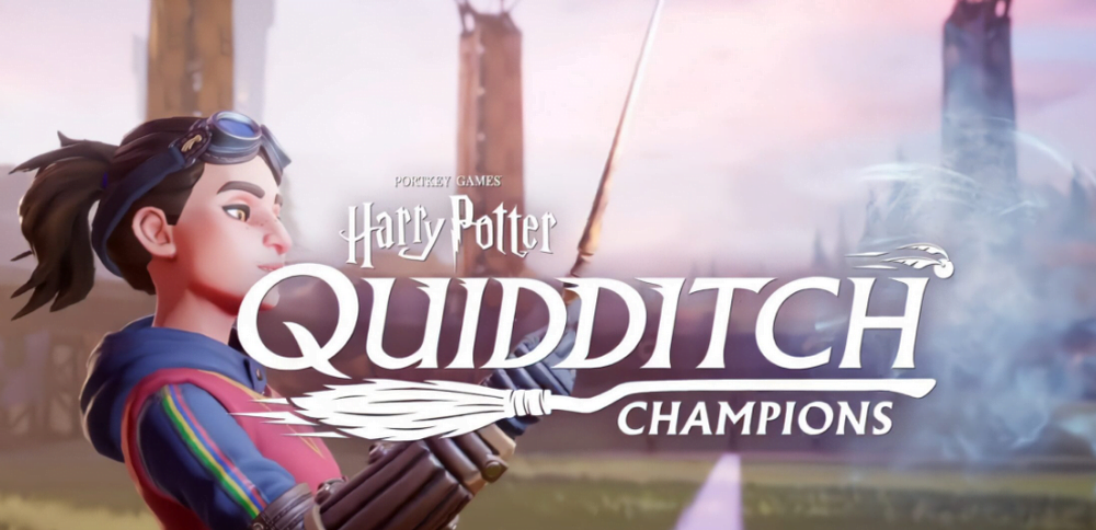 Harry Potter Quidditch Discontinue